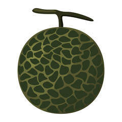 melon isolated on white background