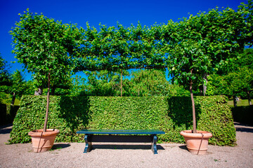 Wooden nice  green bench with the overgrown canopy with ivy in home landscaped garden in summer.  Cozy natural landscaping.