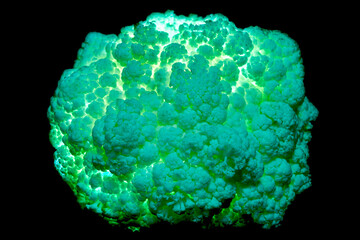 Coliflor con luz interna