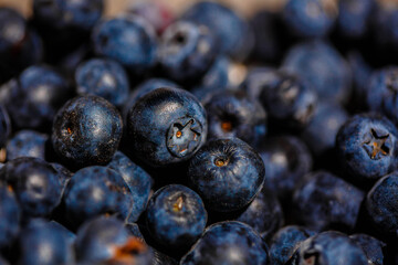 Freshly picked blueberries. close up