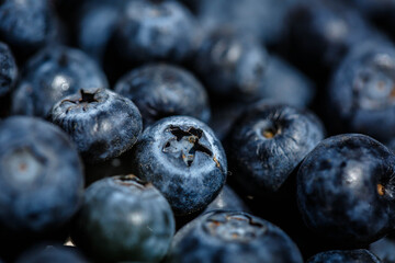 Freshly picked blueberries. close up