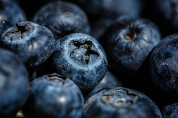 Freshly picked blueberries. close up