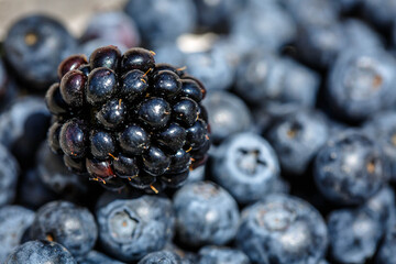 Black blackberry with blueberry - texture or background cg render 