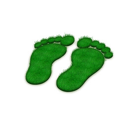 3D Fußabdruck Füße Fußsohle grün Gras rasen wiese footprint foot feets barefeet barefoot green nature co2 nachhaltigkeit öko umwelt schutz recycling erneuerbare Energie erneuerbar Kind Kinder Junge 