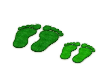 3D Fußabdruck Füße Fußsohle Eltern Kinder groß klein Familie grün Gras Rasen co2 Nachhaltig- Öko- Umwelt- Natur- schutz recycling erneuerbare Energie erneuerbar symbol logo Ökologie Kinder Junge 