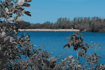 Trees onshore of the bluewater lake 