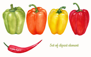 Set of peppers of different colors. Hand-drawn watercolor peppers clipart set