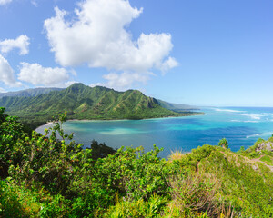 Fototapeta na wymiar Crouching lion view, paradise is real. Oahu, Hawaii