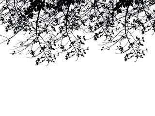 darktone of leaf isolated on white with copy space for text