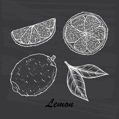 Vector Fruits. Hand drawn Lemons
