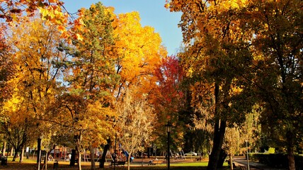 autumn in the park