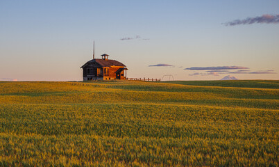 Fototapeta premium Dawn lights an old abandoned one room school sitting in a wheat field 