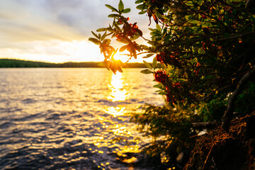 Sunset over a lake
