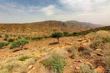 Fototapeta na wymiar エチオピア・ダナキル砂漠ツアーの途中で見た、アフリカの原風景
