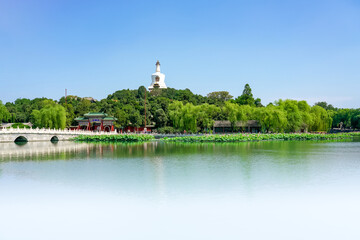 Obraz premium Summer in Beihai Park, Beijing, China, the white pagoda and blooming lotus in Beihai Park