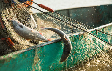 fishermen on the river