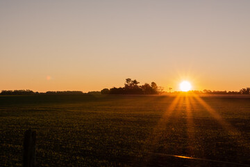Naklejka na ściany i meble sunset in the field