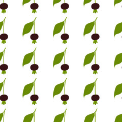 Grumichama fruit.Seamless Vector Patterns 