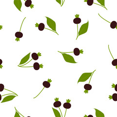 Grumichama fruit.Seamless Vector Patterns 