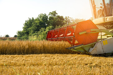Closeup of harvester tool, harvesting on field