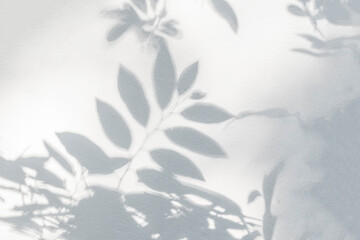 Fototapeta premium Leaf shadow on wall. Nature tropical leaves tree branch and plant shade with sunlight