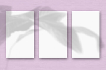 3 vertical sheets of textured white paper on soft pink table background. Mockup overlay with the plant shadows. Natural light casts shadows from an exotic plant. Horizontal orientation