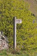 wooden lakeshore footpath sign in the countryside