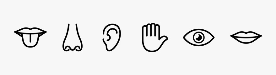 Obraz premium Human senses icon set vector line style