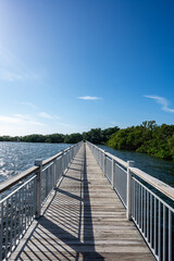 Naklejka premium Looking Down Walkway Toward Mangrove Forest