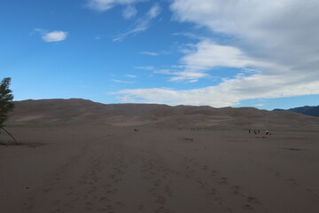 Fototapeta na wymiar Sand dunes in the morning in Colorado