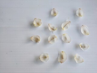 Flower petals