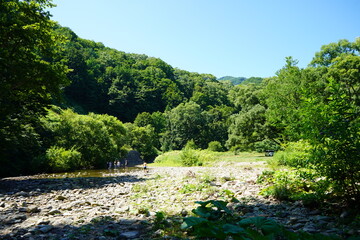 川　夏休み　田舎　川遊び　風景　東北地方