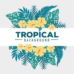 tropical background, flowers yellow colors with branches and tropical leaves, decoration with flowers and tropical leaves vector illustration design
