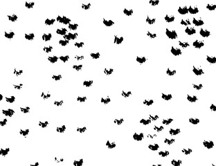 Obraz na płótnie Canvas White and black vector. Grunge background. Abstract brush pattern.