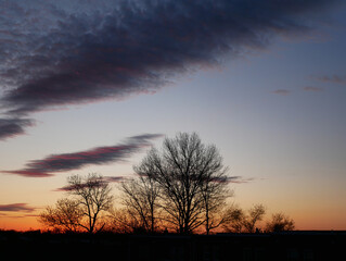 golden hour silhouettes