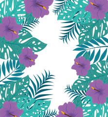 tropical background with flowers purple color and tropical plants, decoration with flowers and tropical leaves vector illustration design