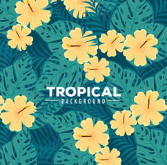 tropical background, flowers yellow color and tropical plants, decoration with flowers and tropical leaves vector illustration design