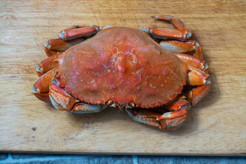 Dungeness crabs on a cutting board