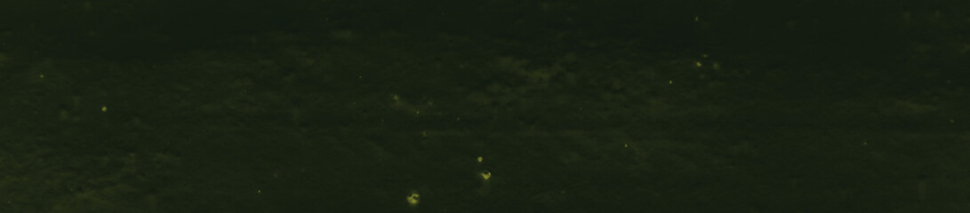 abstract black and dark green colors background for design