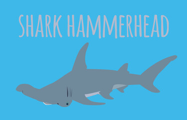 shark hammerhead image with vector text