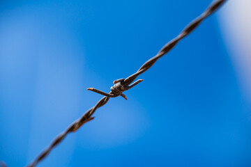 Closeup of barbed wire against blue sky.