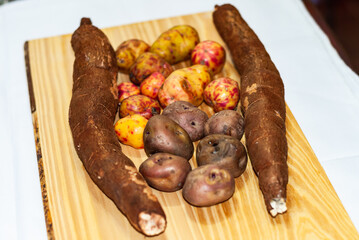 Raw yucca on the wooden table, Manihot esculenta. (Cassava raw tuber) with regional potatoes from the Andes at a market in Peru, Bolivia, Argentina, south america.