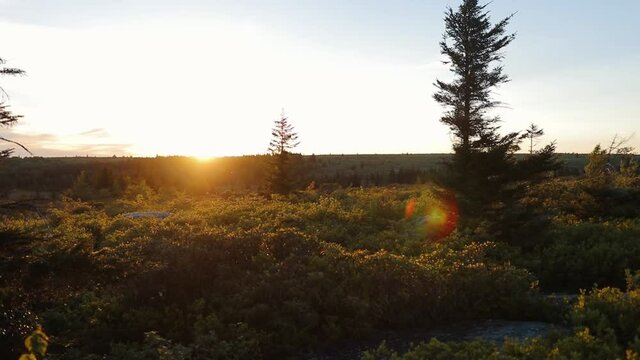Bear Rocks Preserve Dolly Dods Wilderness Landscape With Sun Setting Cinematic Gimbal Shot