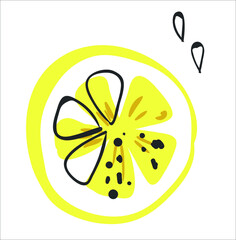 drawing of sour yellow lemon and lime, vector fruit illustration, ligotype and design,