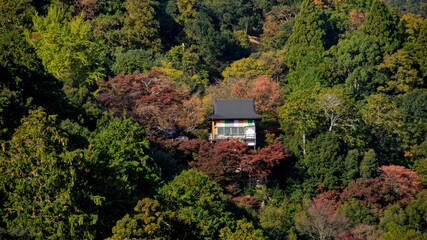 View of Arashiyama Gorge during autumn season at day time
