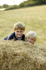 Naklejka na ściany i meble Children emerging from a haystack