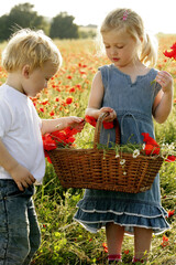 Children picking flowers