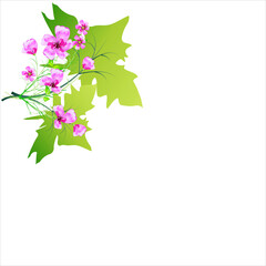 floral leaves, isolated on a white