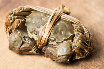 hairy crab on a wooden background