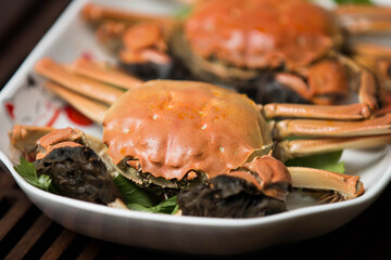 crab on a plate